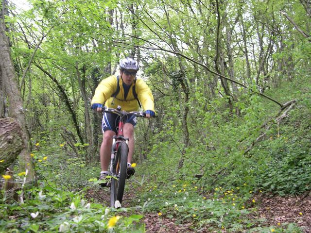 La descente d arguel